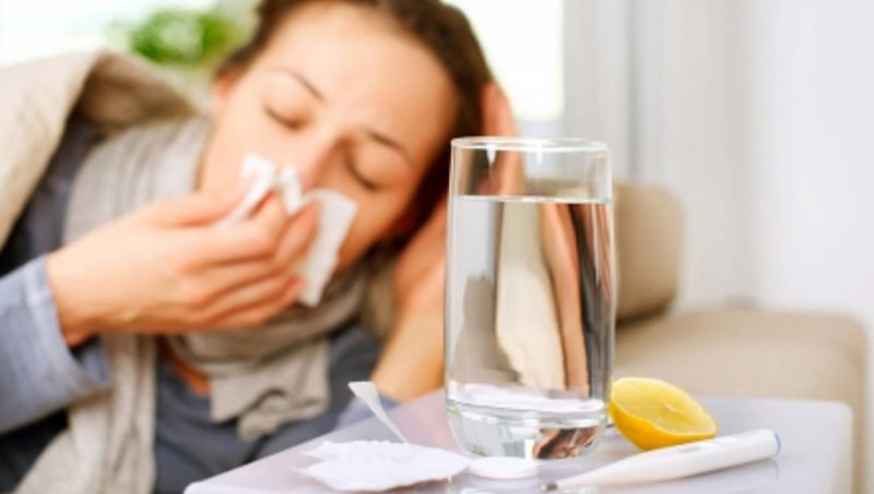 imagen de Gripe: Enfermedad por Virus Influenza