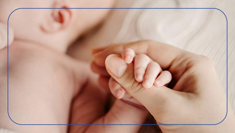 imagen de MSP -Acreditación en buenas prácticas de alimentación 2024