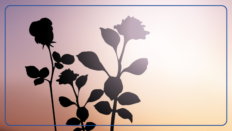 imagen de Servicio Fúnebre